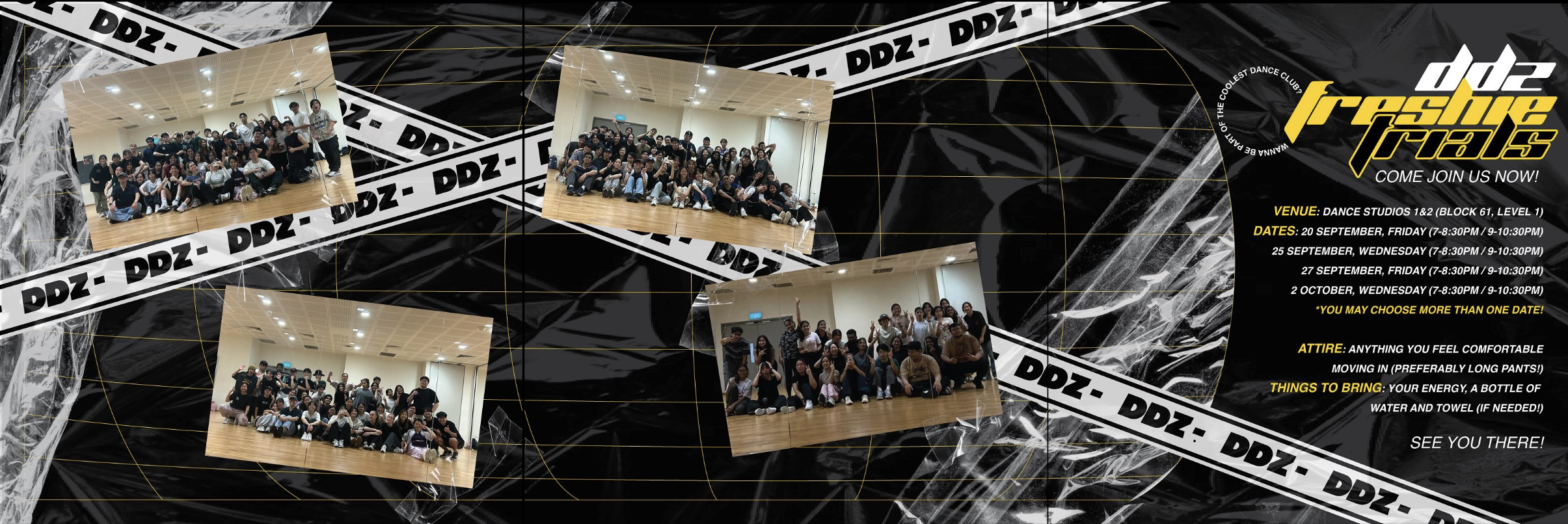 DDZ Freshie Posts